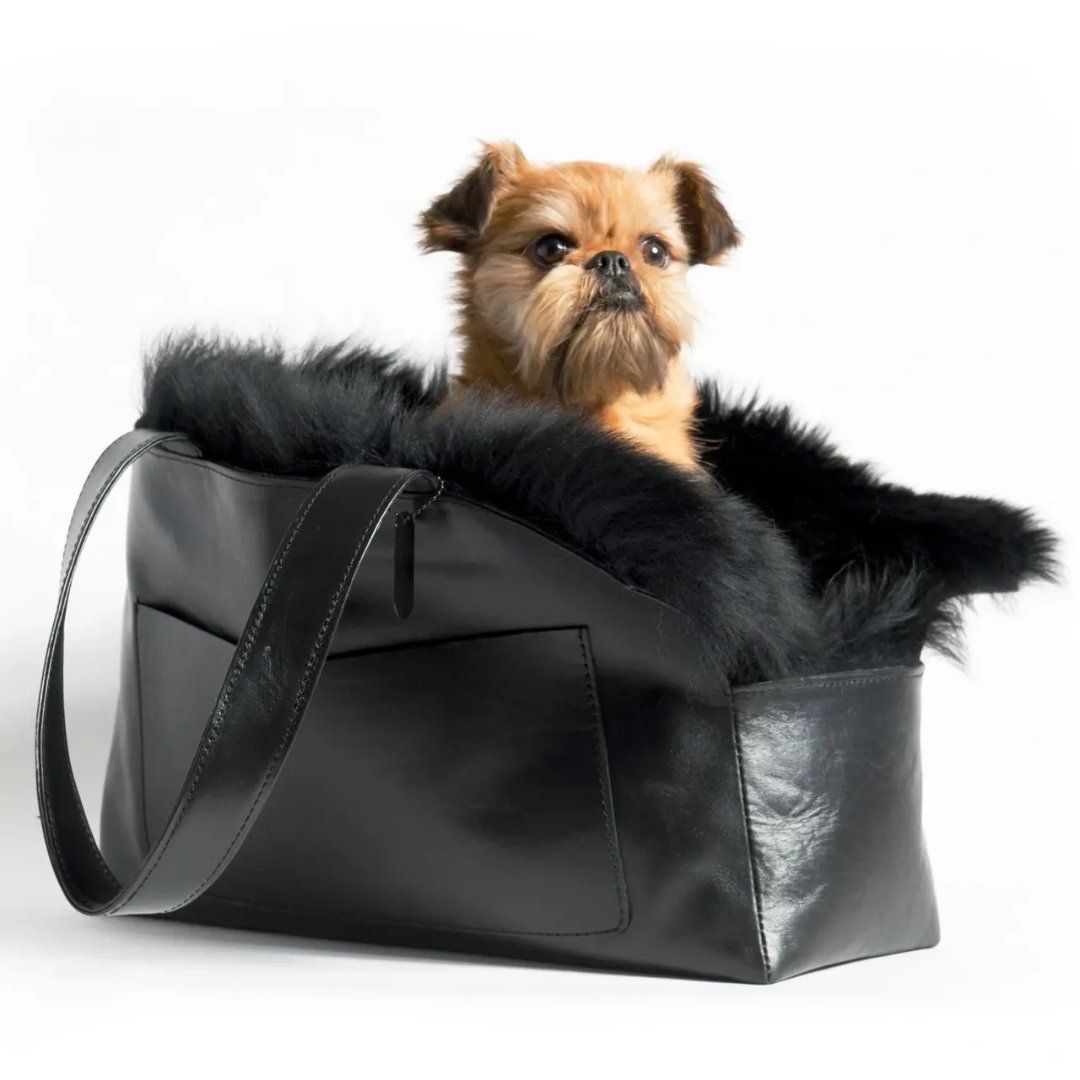 A dog sitting in the middle of a purse.